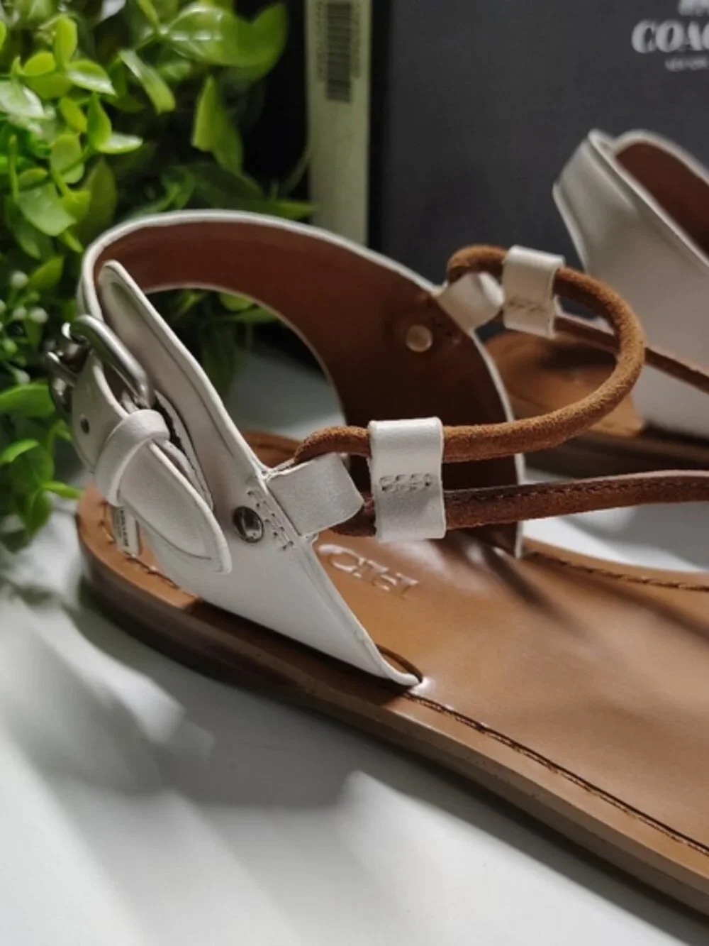 Coach Clarkson Thong Sandals Chalk Saddle Leather Ankle Strap Size 5M NWT